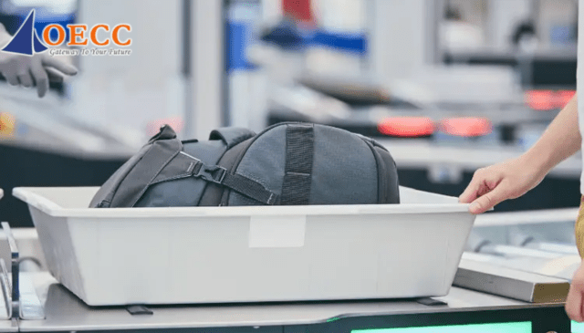 Những món đồ tuyệt đối không được mang theo để tránh bị rắc rối ửo cửa hải quan.