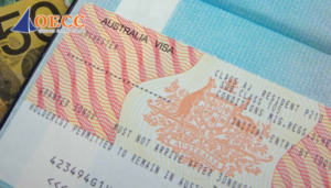 visa 462